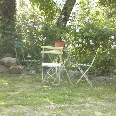 Domaine U Bugnu *
